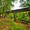 Clarkson-Legg Covered Bridge.
(underview)