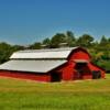 Quintessential large red hay barn.
Fayette County.
