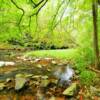 Little Warrior River.
Near the Horton's Mill Bridge.
Blount County.