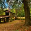 Kymulga Covered Bridge.
Talladega County, Alabama.