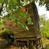 Kymulga Grist Mill.
(rear angle).