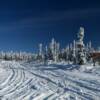 More October scenes north of 
Fairbanks.