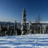 Another peek at Alaska's frozen taiga in October.