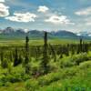 Lower Chugach Range & Valley.
(Mile 119  Glenn Highway)