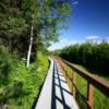 Kenai River Boardwalk.
Soldotna, Alaska.