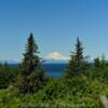 A ''close up' view of 
Redoubt Volcano.
(between the pines)