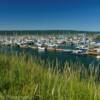 Homer boat harbor.
(over the weeds)