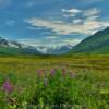 Canyon Creek Valley.
(On a sunny afternoon)