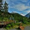 1949 Chevy 'garden' pickup truck.
Girdwood, AK.