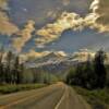 Richardson Highway.
'Mile 54'
(looking south)