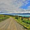 Kachemak Bay.
Along East End Road.