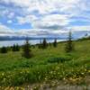 Kachemak Bay.
In June.