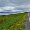 'Western view'
Kachemak Bay.
Old East End Road.
Near Homer, Alaska.