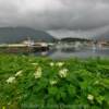 Sitka Wharf & Harbor.