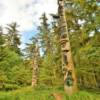 Haida Telephone Polls.
Kazaan, Alaska.