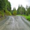 'Cute' little island in the
'road split'
along the Kasaan Road.
Prince Of Wales Island.