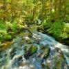 Lunch Creek Falls.
Tongass Forest.
Near Ketchikan.