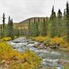 Alaska's Willow Creek.
Along Fishhook Road.