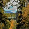 Mt McKinley
'peeking through the
autumn foliage'