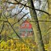 Knik Roadhouse.
(peeking 
through the late
autumn trees)
