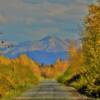 Southern Chugach Mtns 
& brilliant autumn colors.
Near Port McKenzie.