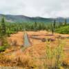 Russian Forest Trail.
Near Cooper Landing, AK.