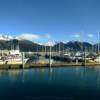 Beautiful Seward Harbor.
In early October.