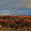 September-October
ground foliage.
West of Nome.