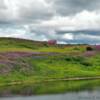 Nome area fireweed.