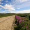 Nome-Teller Road.
(Mile 15)