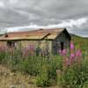 Another view of this
early 1900's outpost cabin.
Near Nome, Alaska.