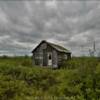 Another old trappers cabin.
Mile 80.
Kougarok Road.