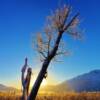 Early Winter-along Alaska's Seward Highway