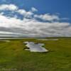 Marshland tundra.
Mile 32.
Nome-Council Road.