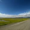 More area Tundra.
Mile 31.
Nome-Council Road.