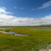 Beautiful tundra marsh plains.
Solomon, Alaska.