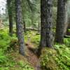 More of the 
Rocky Ridge Trail.