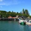 More of Halibut Cove's
famous boardwalk & harbor.