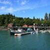 More of the west boardwalk.
Halibut Cove.