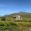 (Close up) of this 
Old trappers cabin.
Mile 38
Kougarok Road.