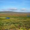 More colorful Alaskan tundra.
East of Nome.