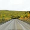 Early autumn foliage.
Mile 64.
Elliott Highway.