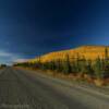 More beautiful foliage
along the southern
Dalton Highway.