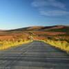 Beautiful tundra foliage
along the Dalton Highway.