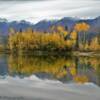 Mid-autumn upon a pond.
Near Tanacross.