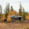 Rusted settler's cabin.
Near Big Delta.