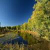 Another peaceful pond
in autumn.
Chena Hot Springs Road.