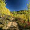 Scenic 4x4 trail.
Mid-autumn.
East of Fairbanks.