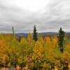 Mid-Autumn foliage.
Eastern Alaska.