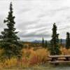 Picnic site.
Mile 19
Nabesna Road.